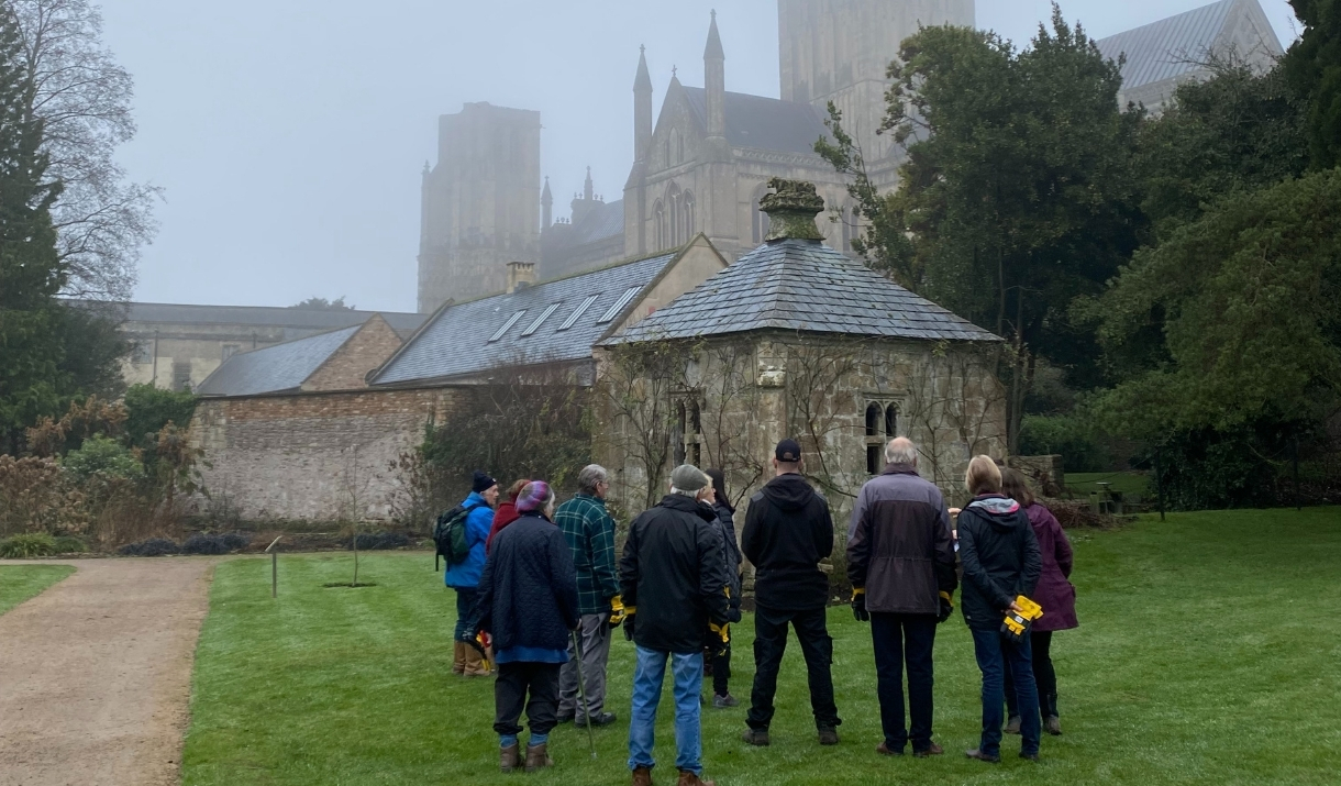 Walk and Talk – Winter Gardening and Snowdrops